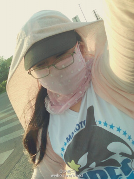 文件:夏花01.jpg