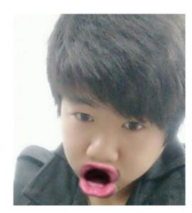 文件:Lztr13.jpeg