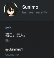 文件:SNMfake.jpg