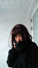 文件:WZX4.jpg