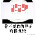 你不要脸的样子，真像叠纸