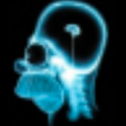 文件:Brain.png