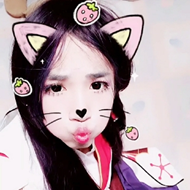 文件:Zs.png