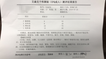 文件:迫真报告书1.png