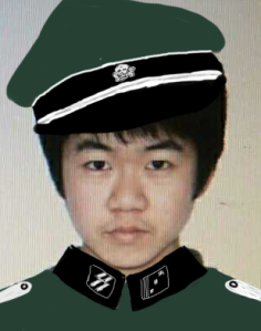 文件:Lzddz.png