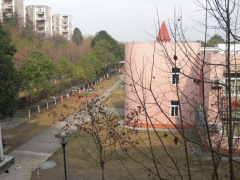 文件:Yashe2.jpg