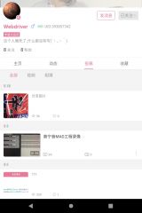 文件:Webdriver.jpg