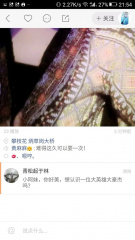 文件:攀枝花快打1.jpg