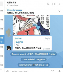 文件:SNMfake2.jpg