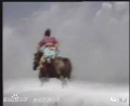 替身6:骑兵团战士