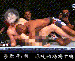 文件:蔡徐坤WWF.gif