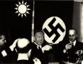 伪纳友好