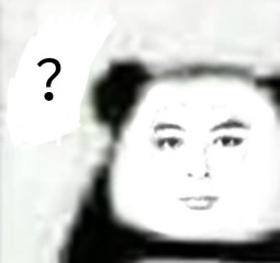 文件:Lzxxm2.jpeg