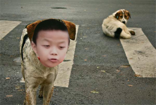 文件:Tim.png