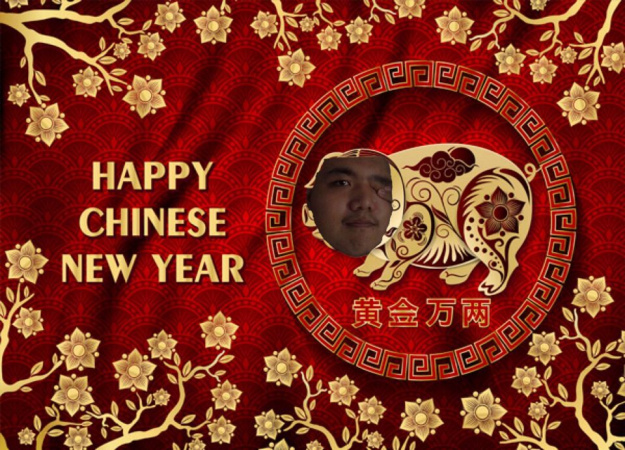 谨贺新年