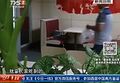 2026年2月26日 (四) 20:42版本的缩略图