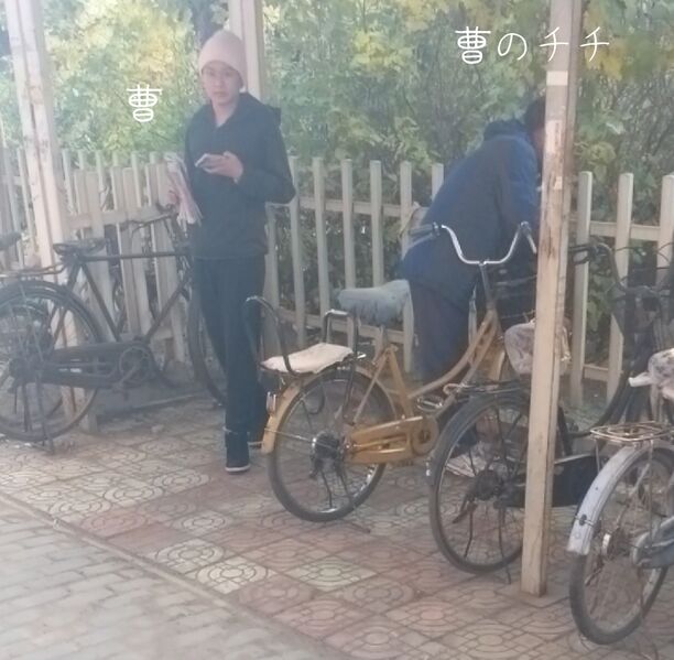 文件:Fotor 154165959287350.jpg