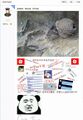 2025年7月27日 (日) 05:54版本的缩略图