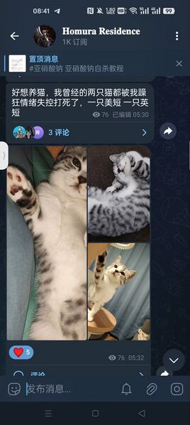 文件:王烁寒虐猫证据1jpg.jpg