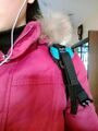 2026年2月26日 (四) 20:42版本的缩略图