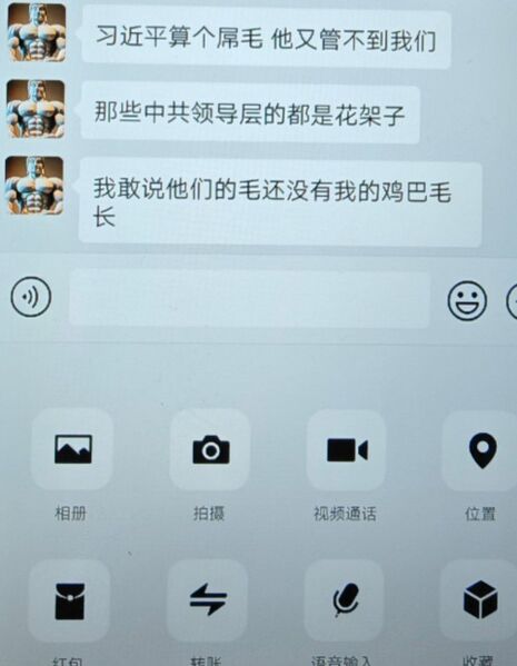 文件:习近平的鸡巴毛.jpg