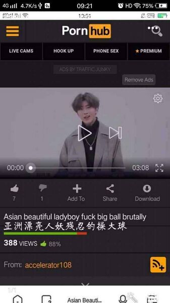 文件:Cxkpornhub.jpg