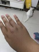 花枝焖猪手