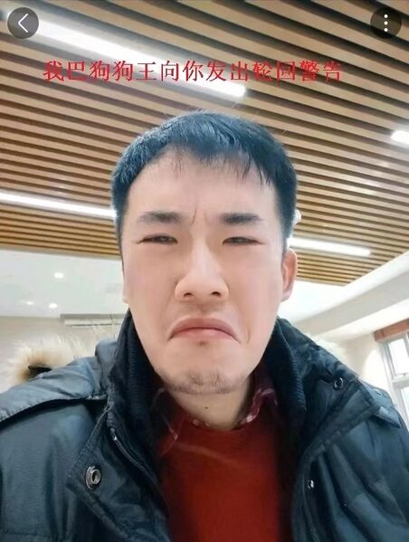 文件:巴狗狗王.jpg