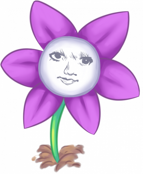 文件:灰 子 花 设.png