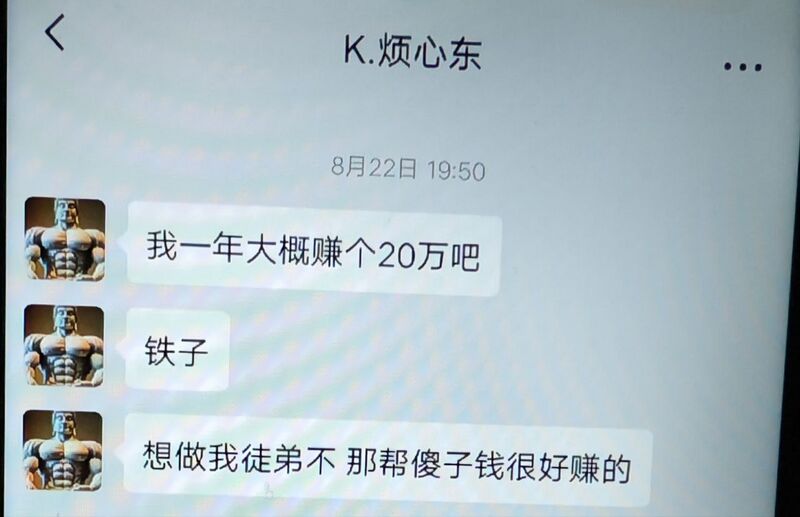文件:我大概一年赚个20万 .jpg