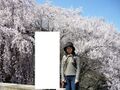 2025年8月1日 (五) 13:15版本的缩略图