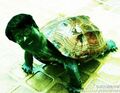2026年9月16日 (三) 18:58版本的缩略图