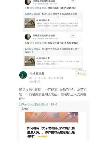 文件:衡禹成虐猫大佐.jpg