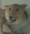 2025年7月27日 (日) 05:54版本的缩略图