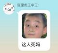 2025年6月19日 (四) 23:27版本的缩略图