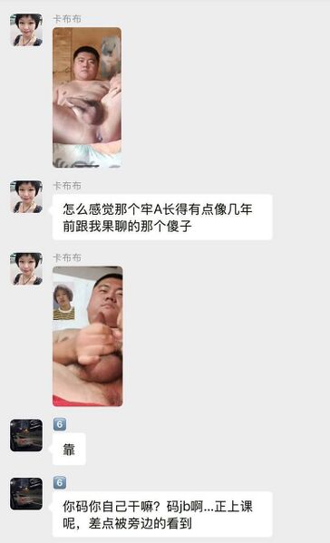 文件:孔选仲裸聊记录1.jpg