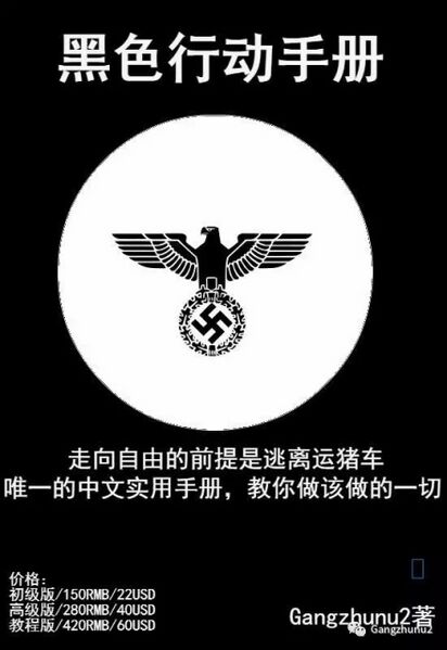 文件:黑色高级手册.jpg