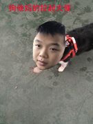狗他妈的拉起大便