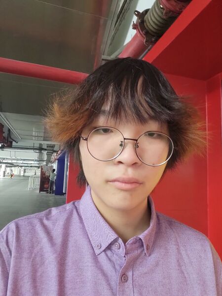 文件:Syy.jpg