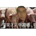 2026年2月26日 (四) 20:41版本的缩略图