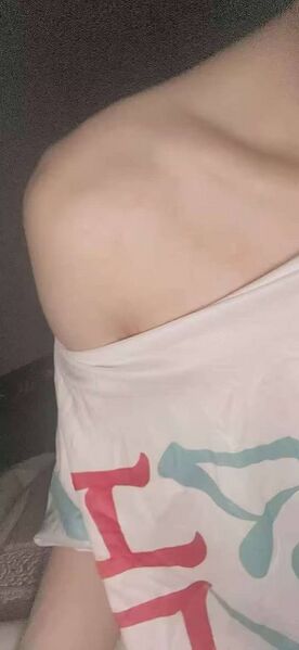 文件:10081.jpg