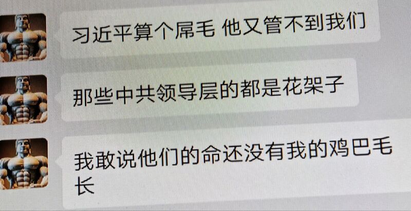 文件:习近平的比喻.jpg