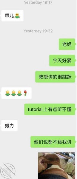 文件:Fuckmother3.jpg